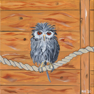 scops owl by david makinson