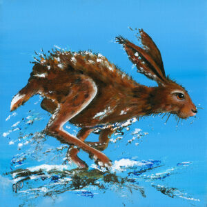Hare Today by Andrew Duggan
