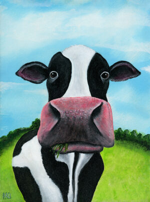 Holstein Friesian dairy cow