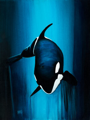 orca giclee print by Andrew Duggan