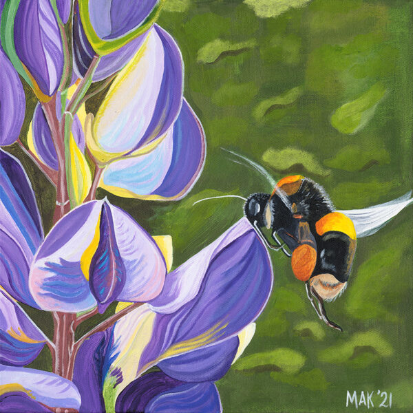 Bumblebee giclee print